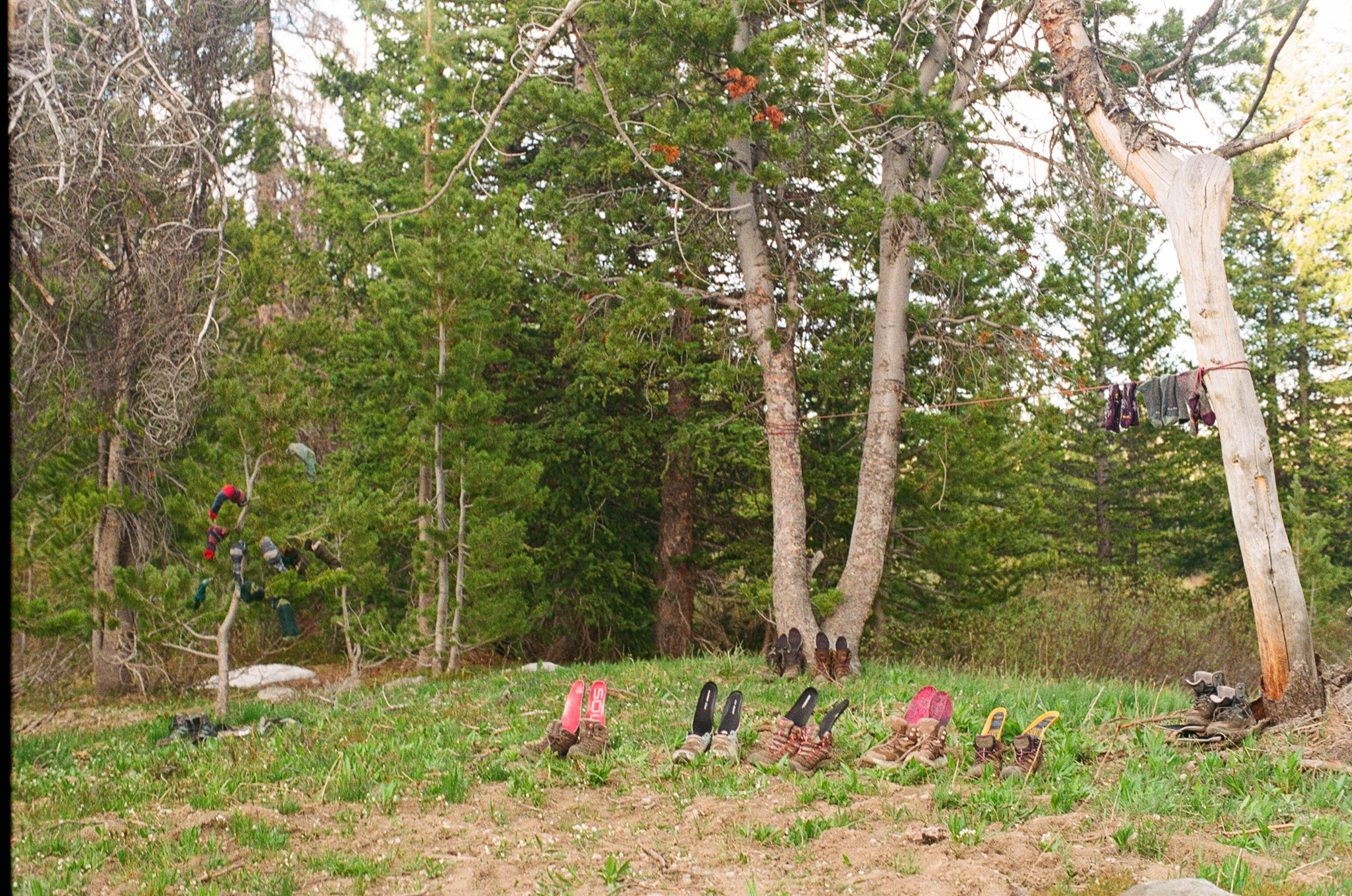 Untitled photograph from Wyoming, June 2026