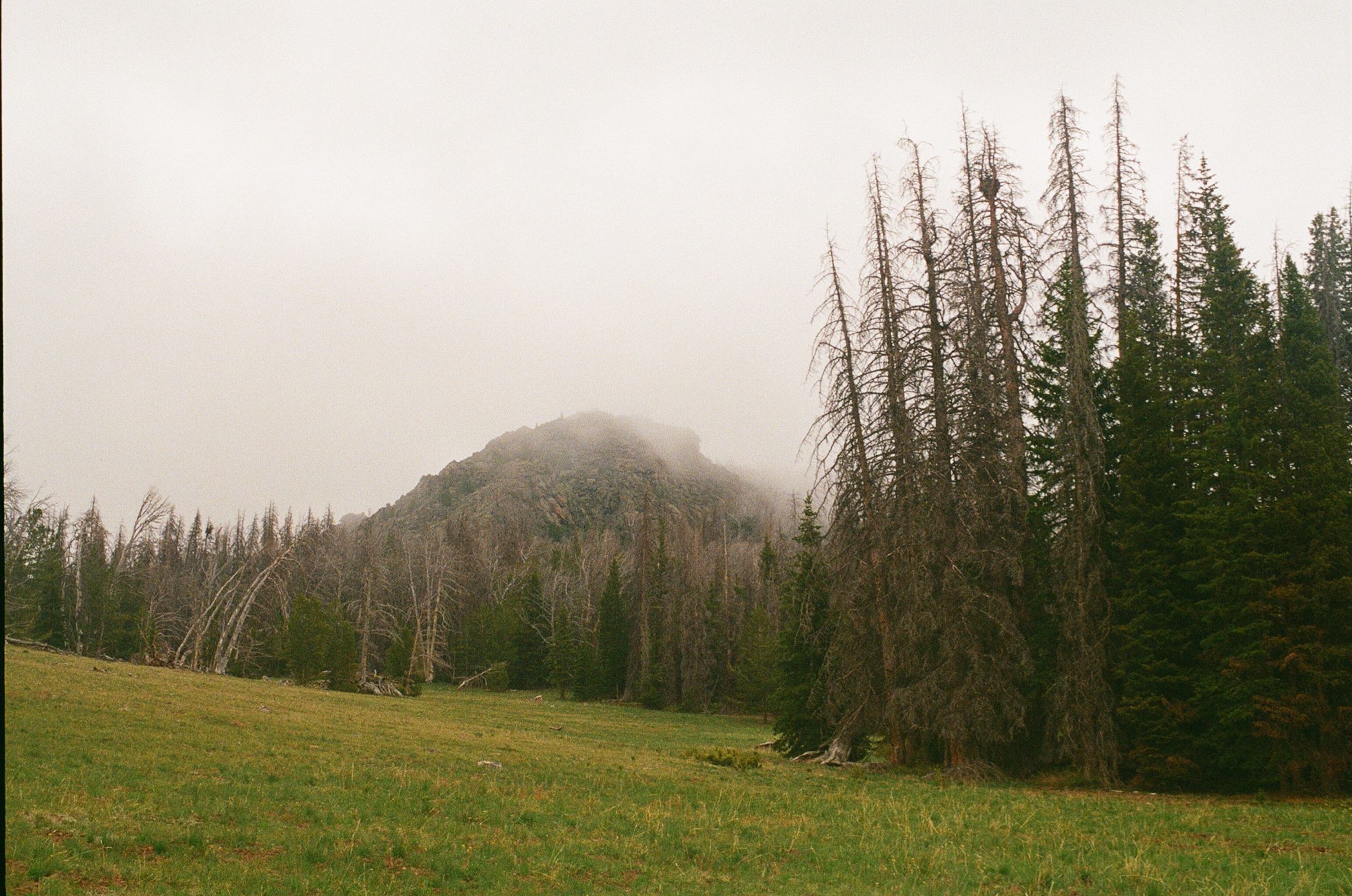 Untitled photograph from Wyoming, June 2026