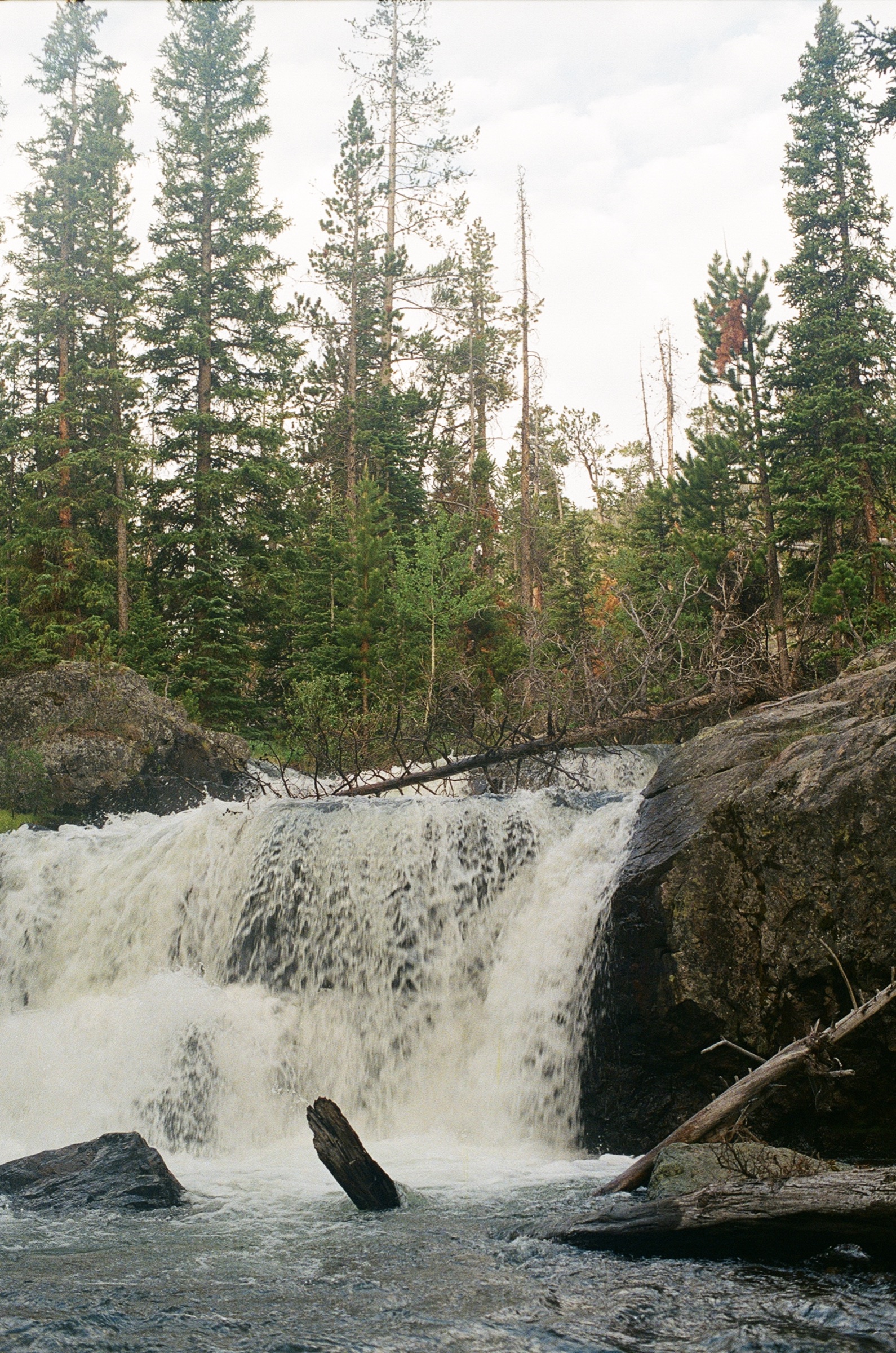 Untitled photograph from Wyoming, June 2026