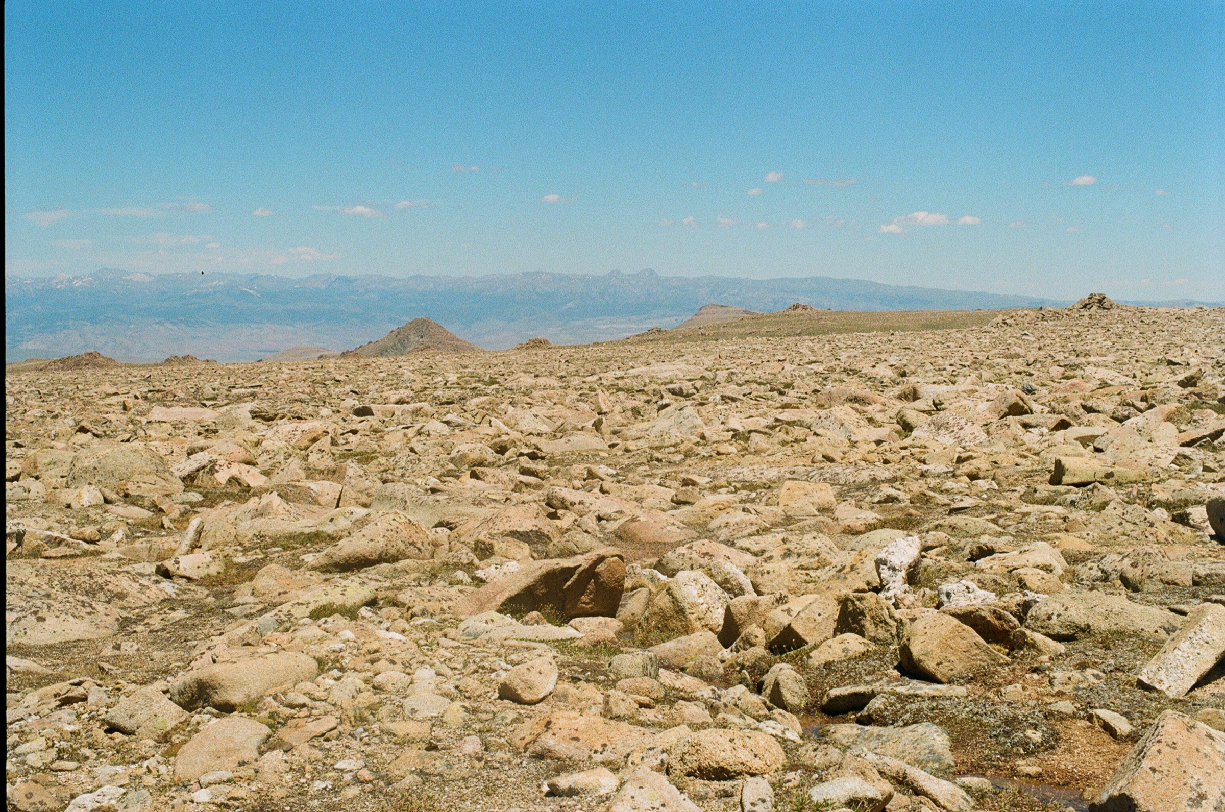 Untitled photograph from Wyoming, June 2026